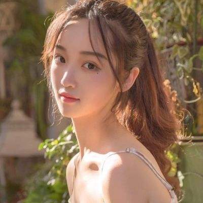 晴天小猫最新版下载